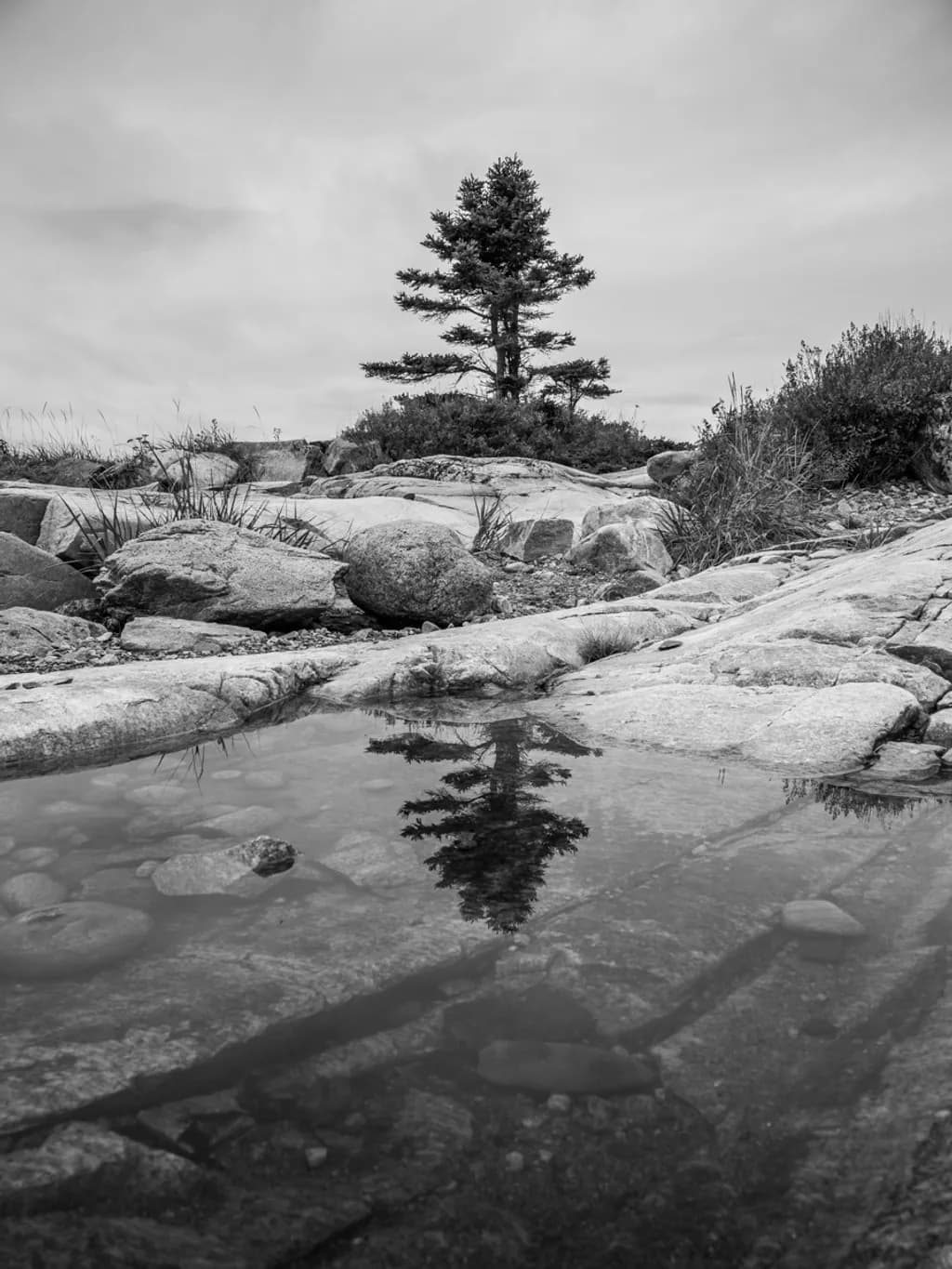 Reflected Solitude