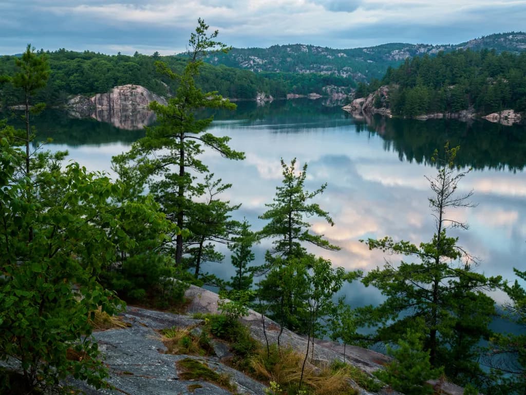 Tranquil Reflections