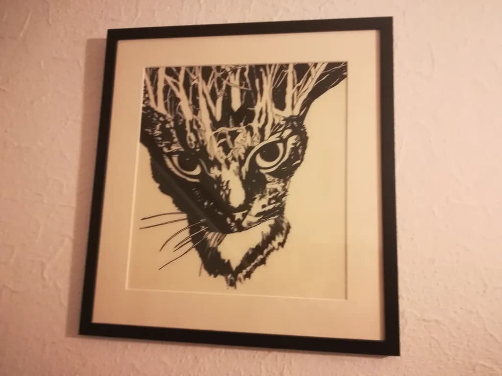 Feline Gaze
