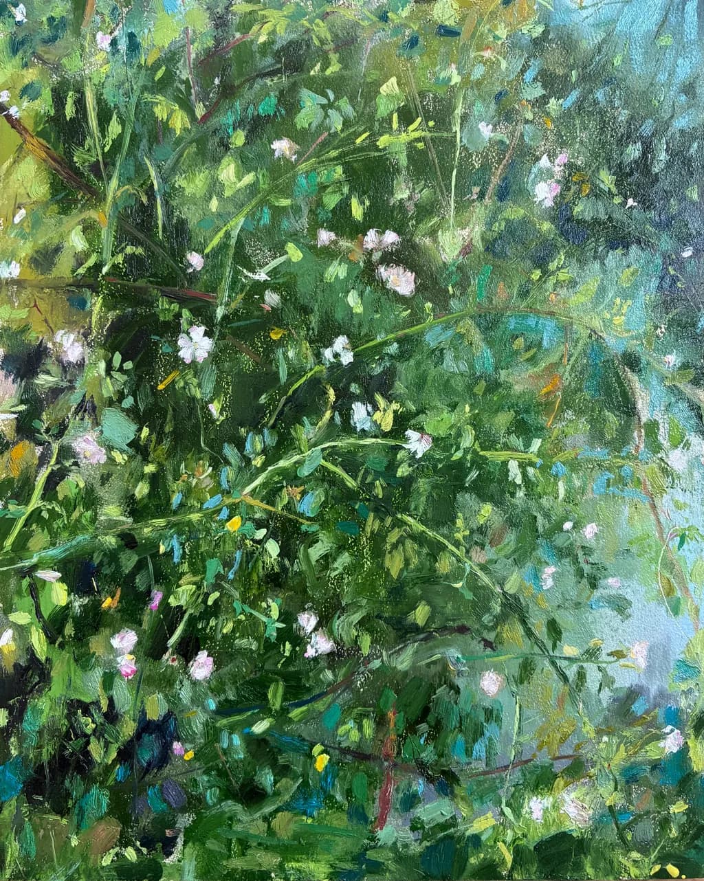 Summer BrambleStudy