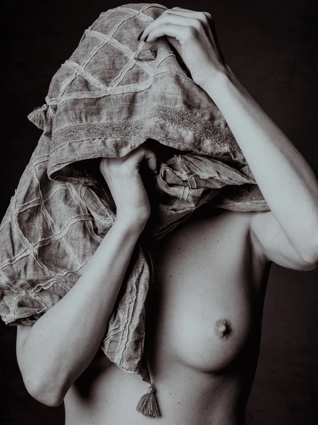 Veiled Elegance: An Abstract Exploration of Form and Shadow