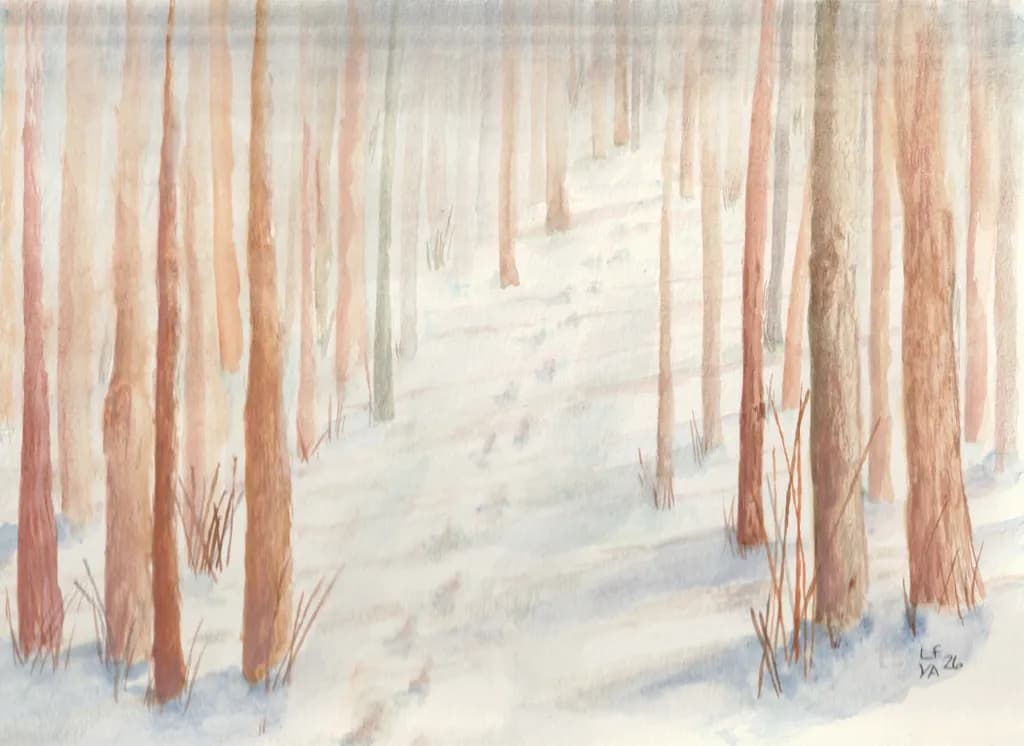 Winter's Pathway