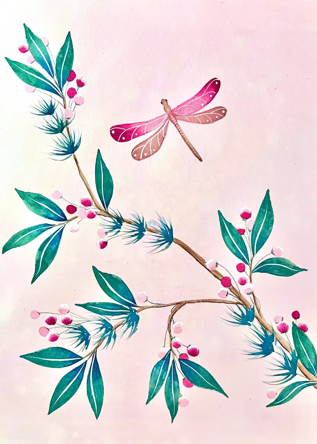 Dragonfly Serenity