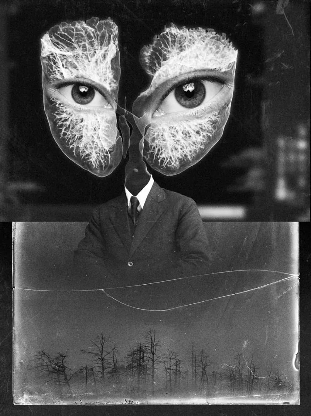 Analogie de la perception