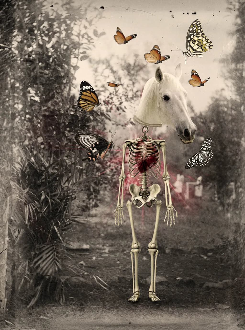 Dernier refuge des métamorphes