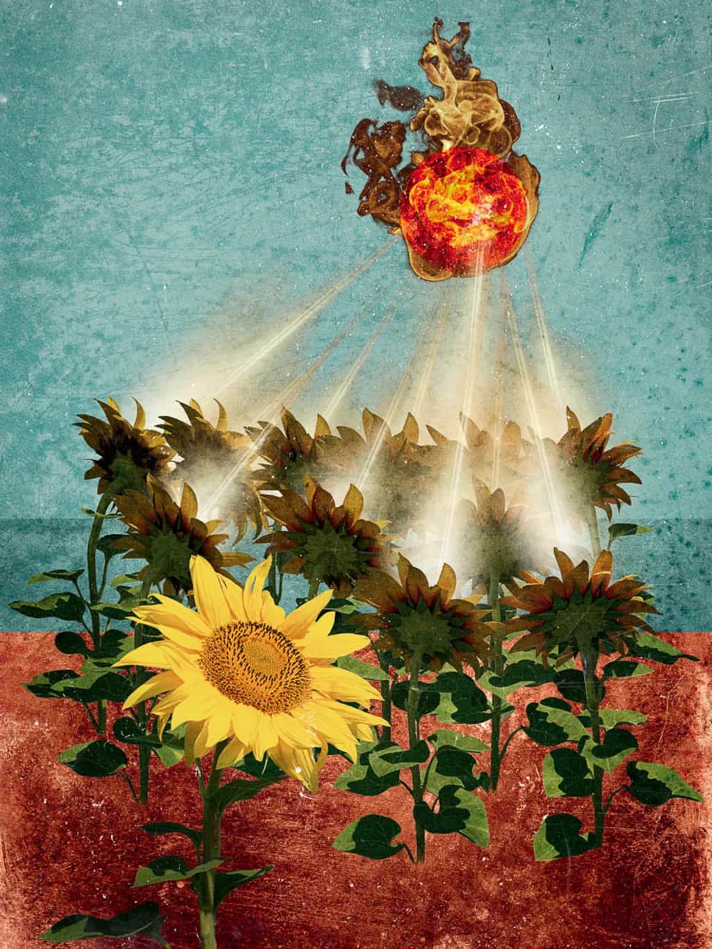 Puissance Solaire