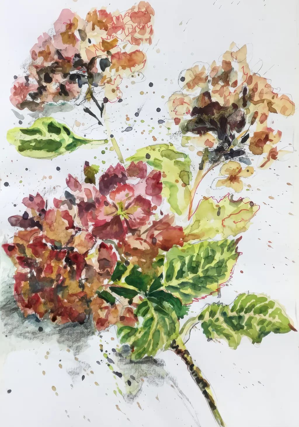 Floral Harmony: A Contemporary Watercolor Exploration from My Oxfordshire Studio