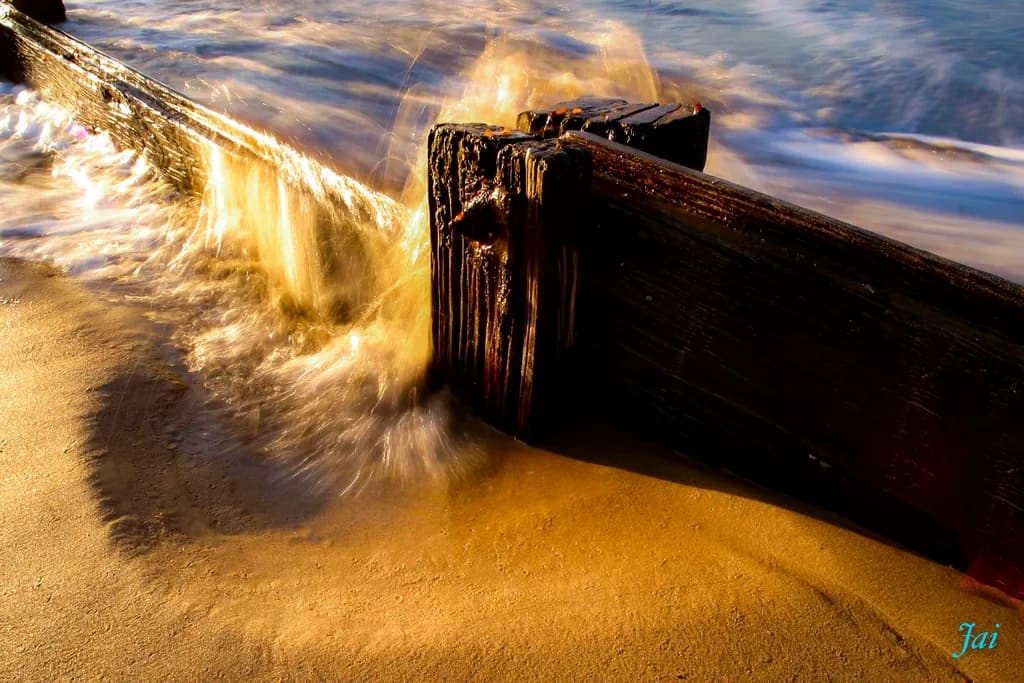 Coastal Motion