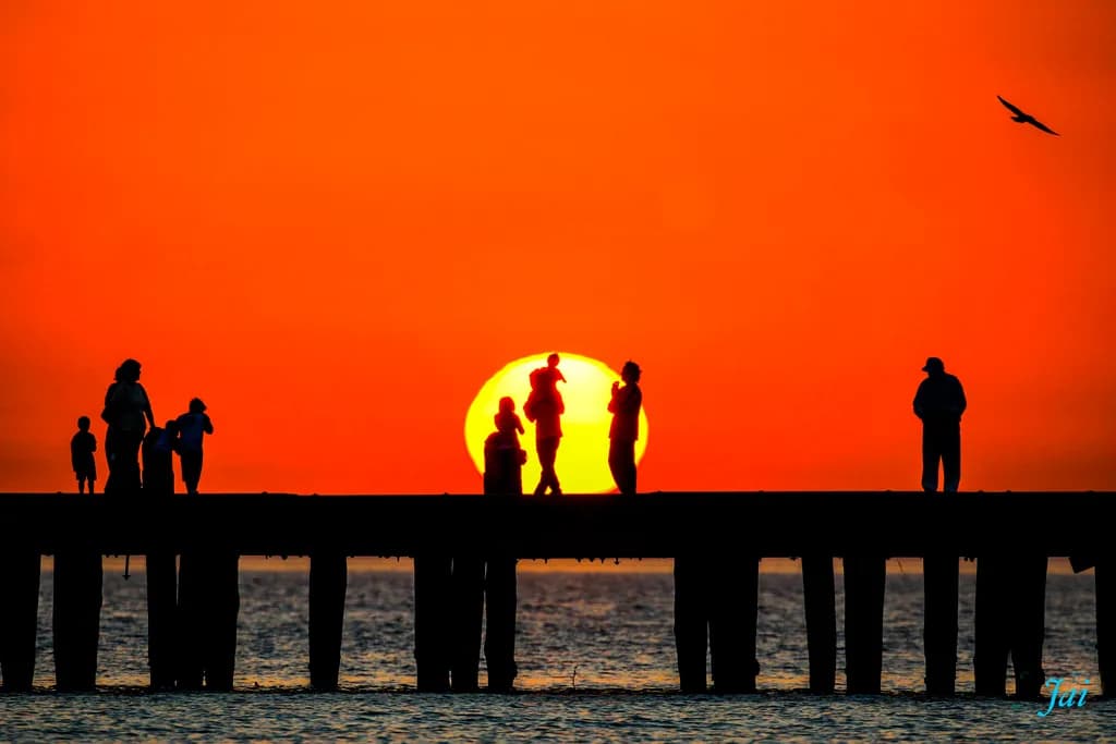 Sunset Silhouettes