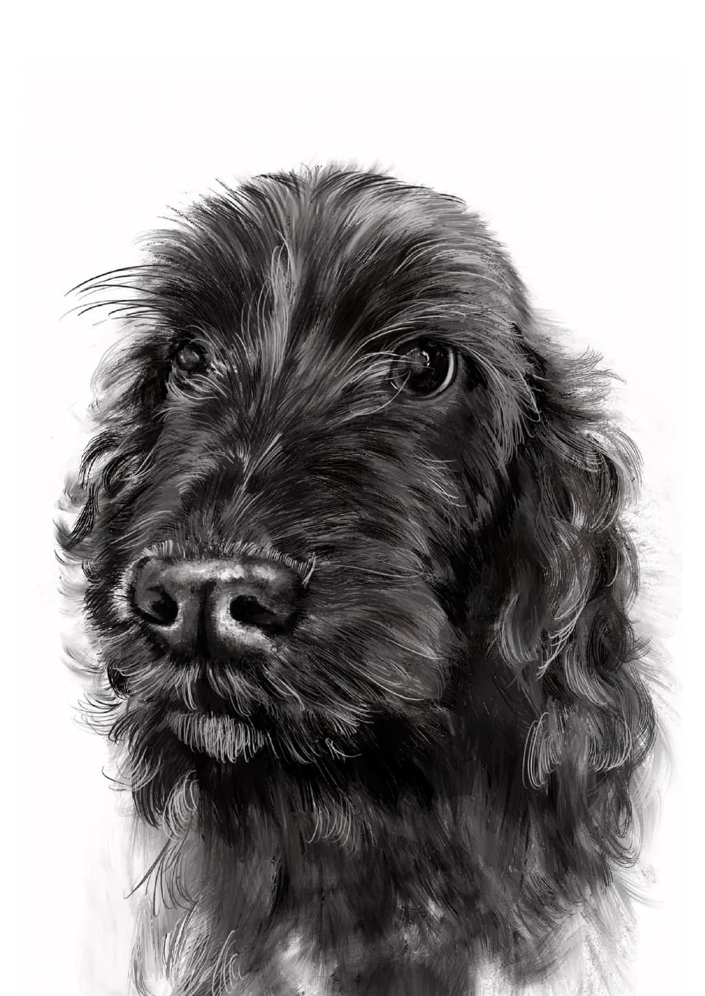 Whiskers and Winks: A Playful Portrait of Pawsitive Vibes