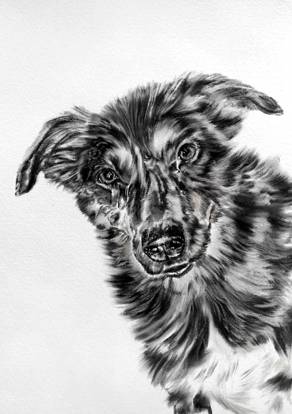 Whiskers and Wags: A Playful Portrait of Pawsitive Vibes