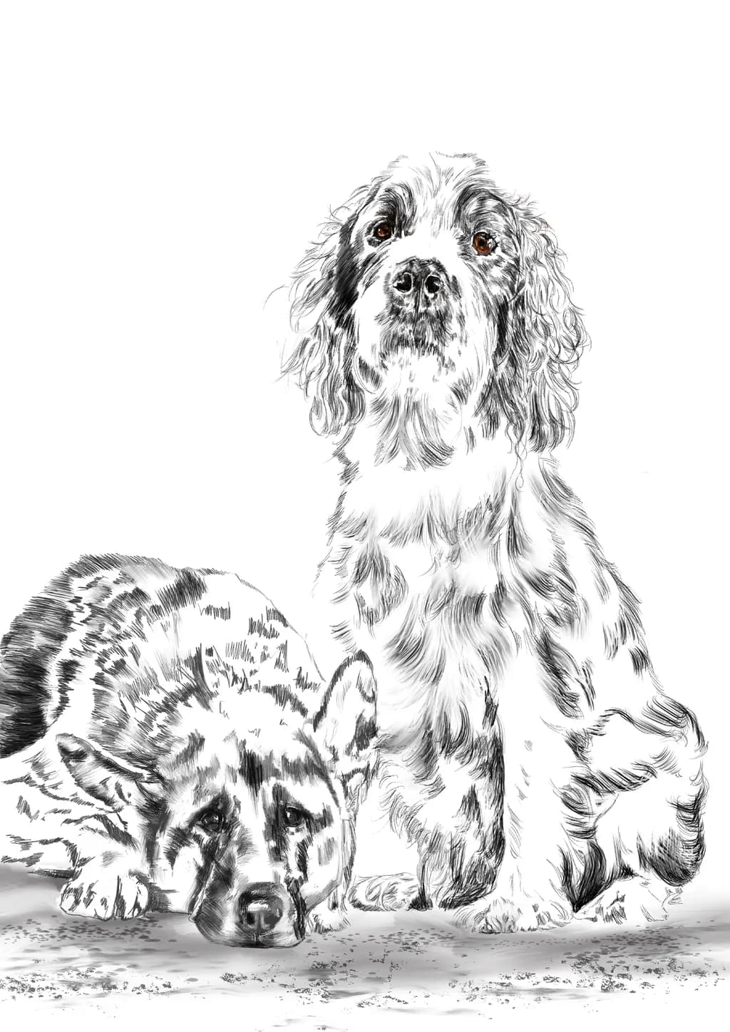 Whiskers and Wags: A Heartfelt Paw-sitive Portrait of Friendship