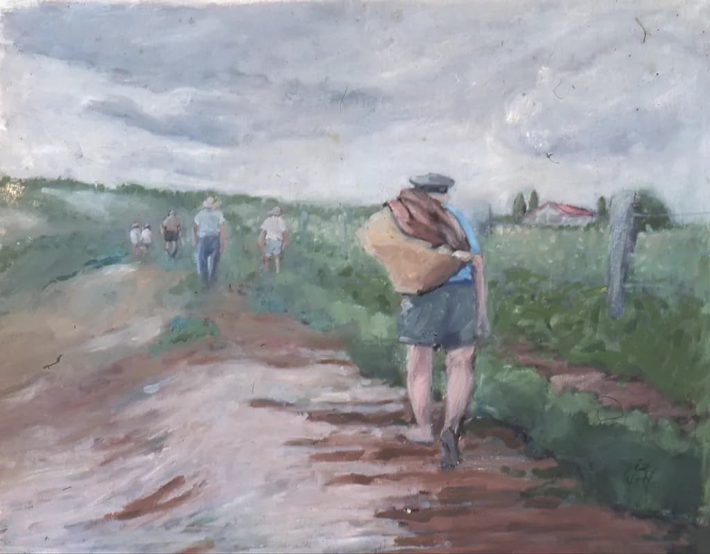 Journey Through Cloudy Fields: A Reflection on Life and Nature