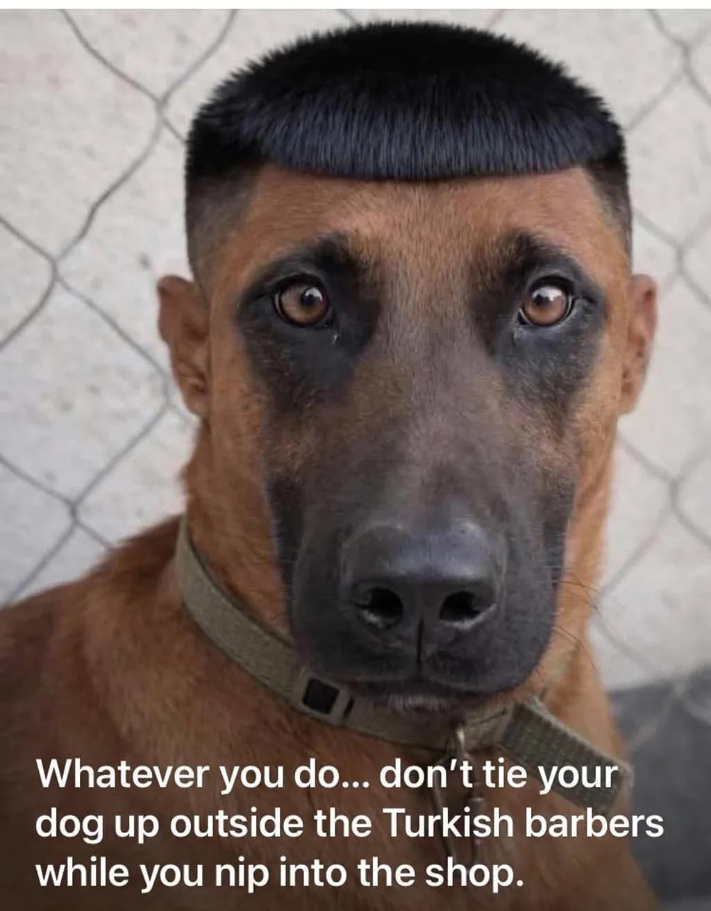 Unexpected Haircut