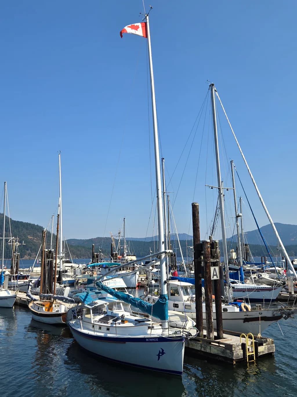Marina Sailboats