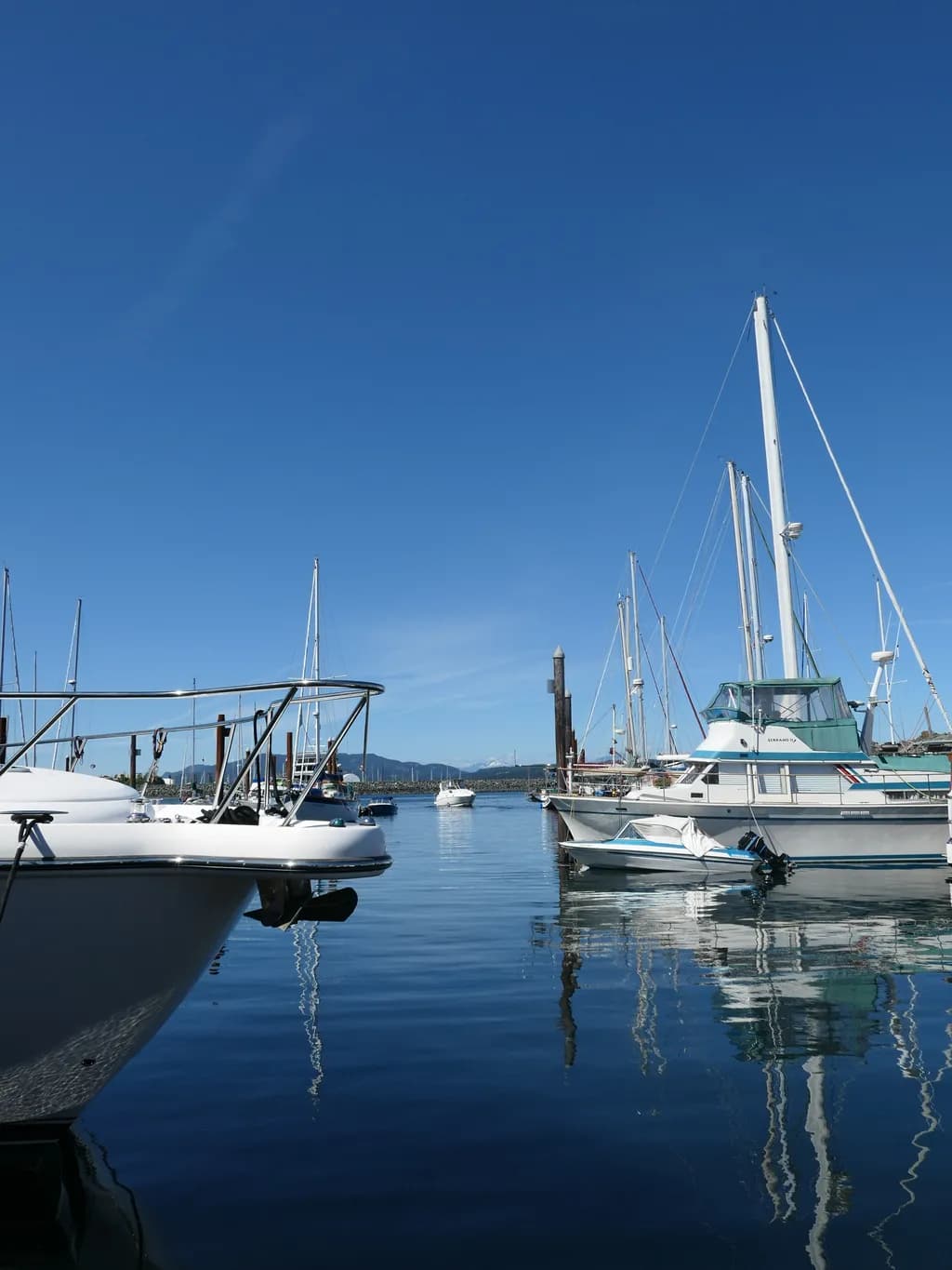 Marina Reflections