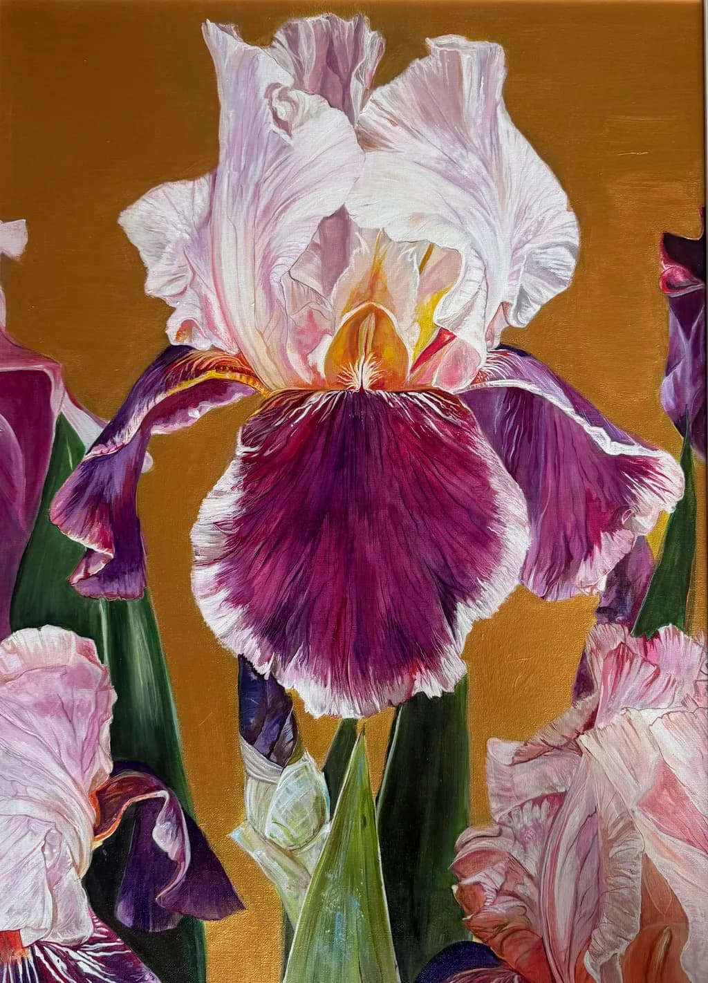 Iris Majesty