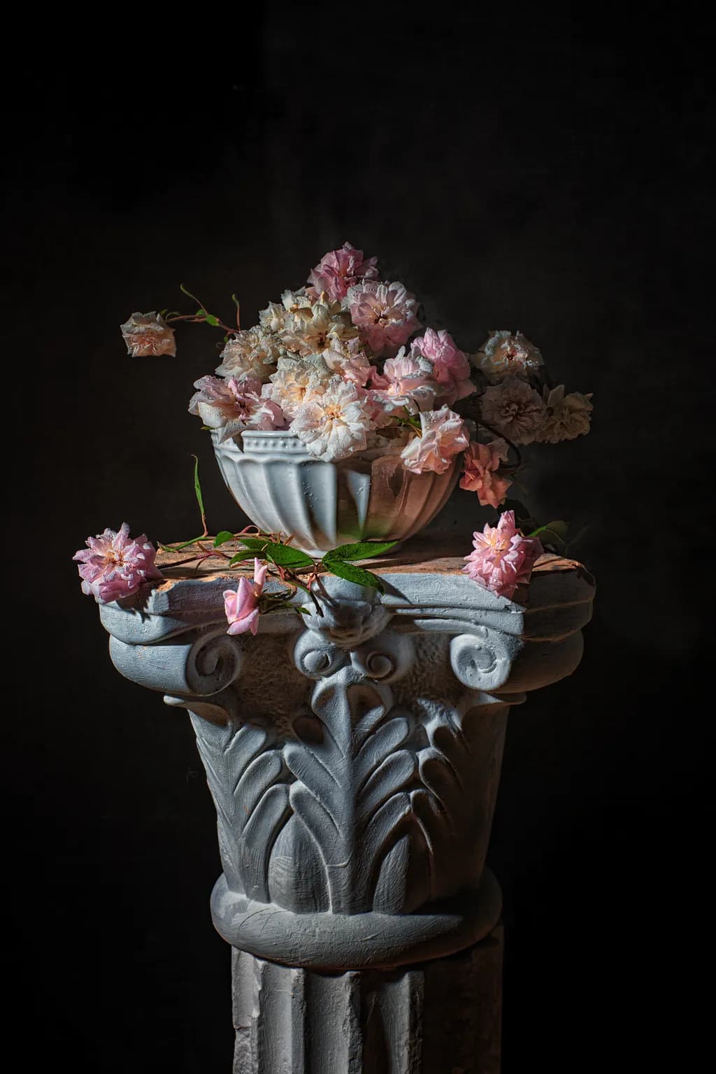 Wild Roses on Pillar