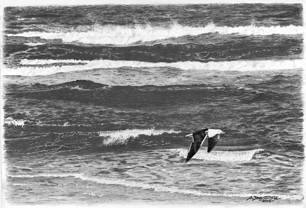 Wings of Serenity: A Dance Above the Waves