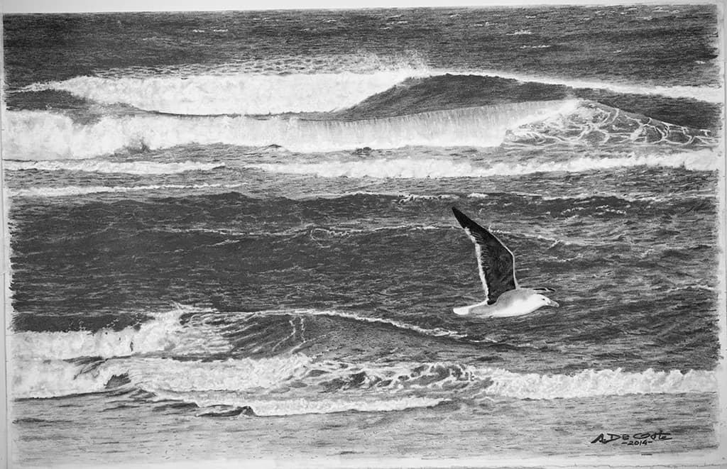 Whispers of the Ocean: A Seagull's Journey Through Waves and Serenity