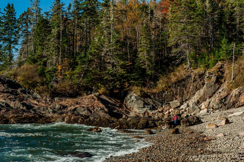 Whispers of the Shore: A Serene Encounter with Nature's Beauty