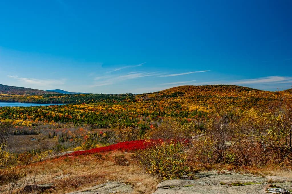 Autumn's Embrace: A Vibrant Tapestry of Colorful Foliage and Clear Blue Skies in Nature's Splendor