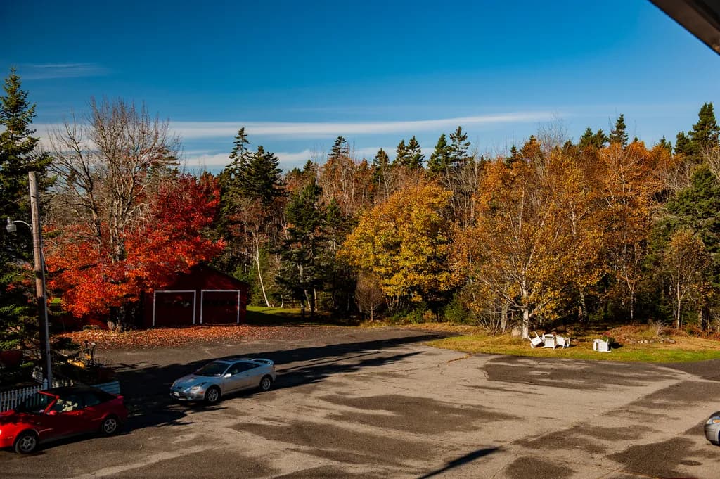 Autumn Serenity: A Vibrant Tapestry of Colorful Foliage and Tranquil Landscapes