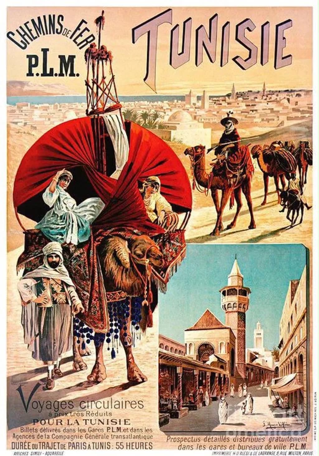 Tunisie Camel Caravan