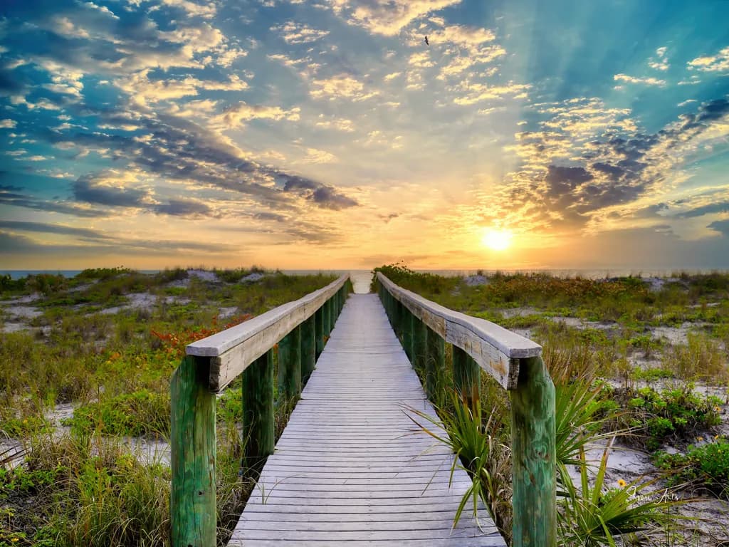 Steps To Tranquility