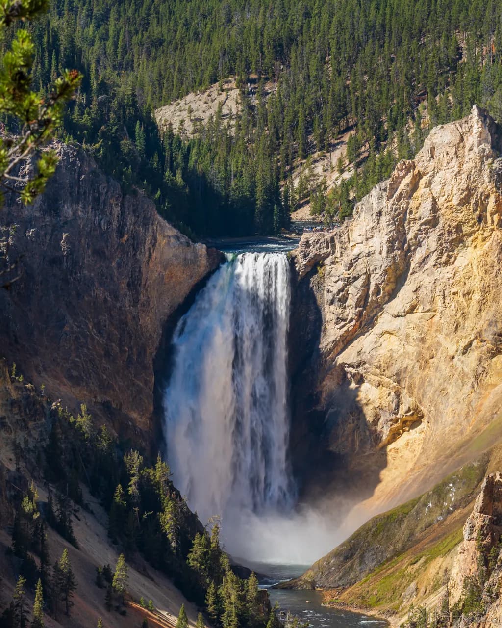 Yellowstone Cascade