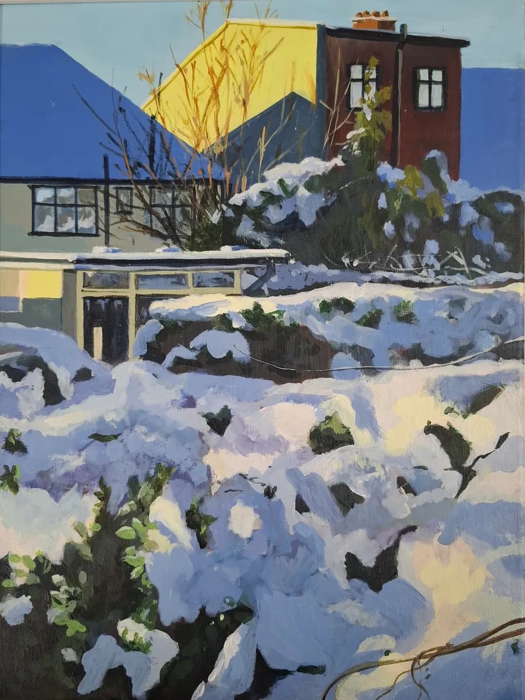 Snow Shadows