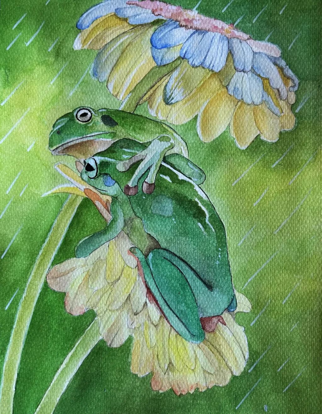 Whispers of Rain: Frogs Embraced by Nature's Blooms