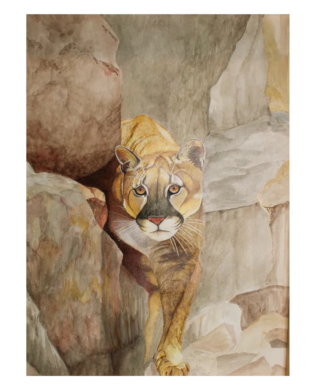 Whispers of the Wild: A Majestic Cougar Emerges from the Shadows