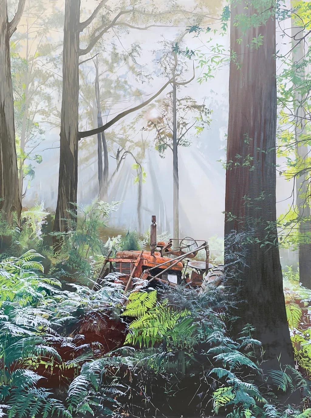 Whispers of the Forest: A Tranquil Encounter with Nature's Machinery