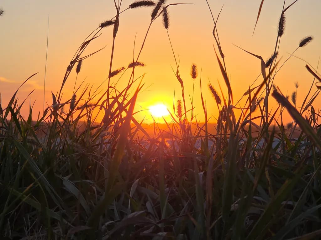 Sunset Serenity