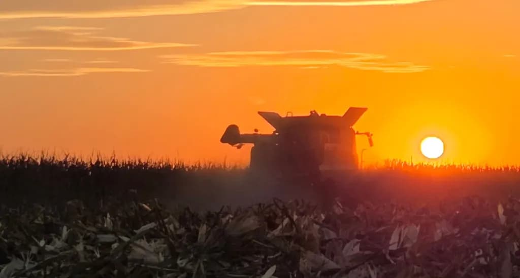 Harvest Sunset