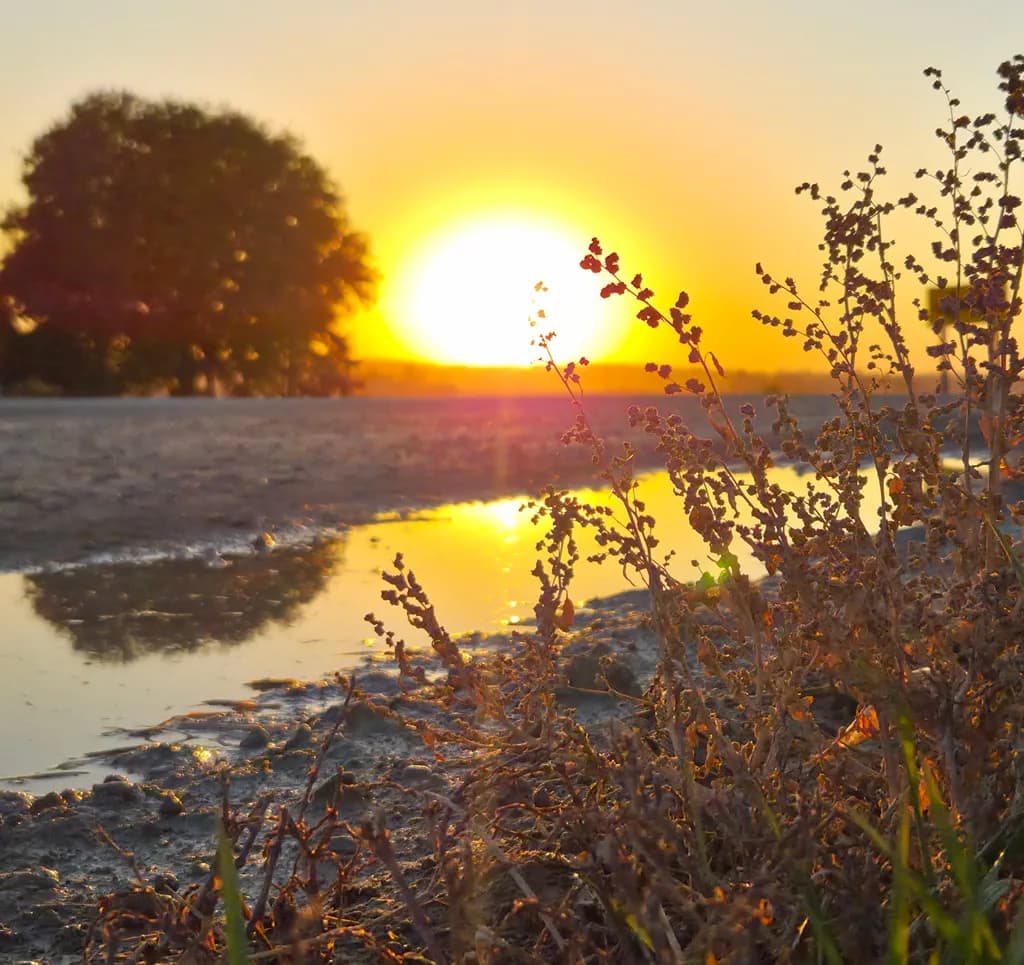 Reflections of a Sunset