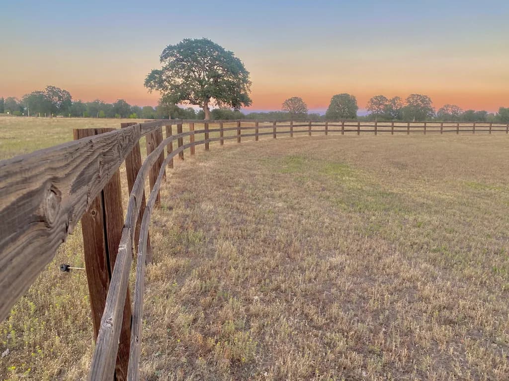 Golden Hour Fence Line