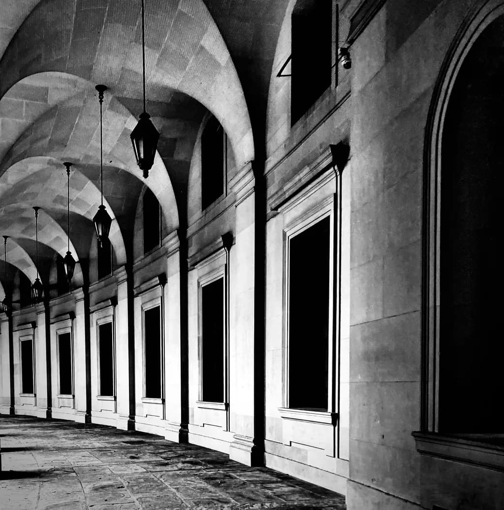 Curved Shadows