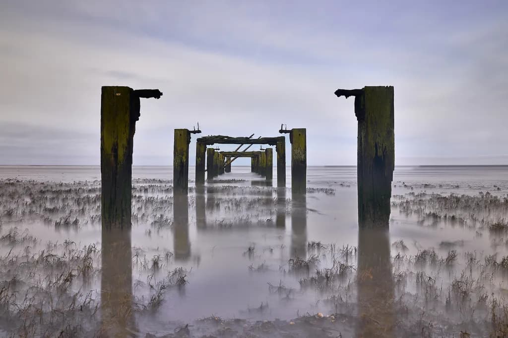 Tidal Marsh Pier
