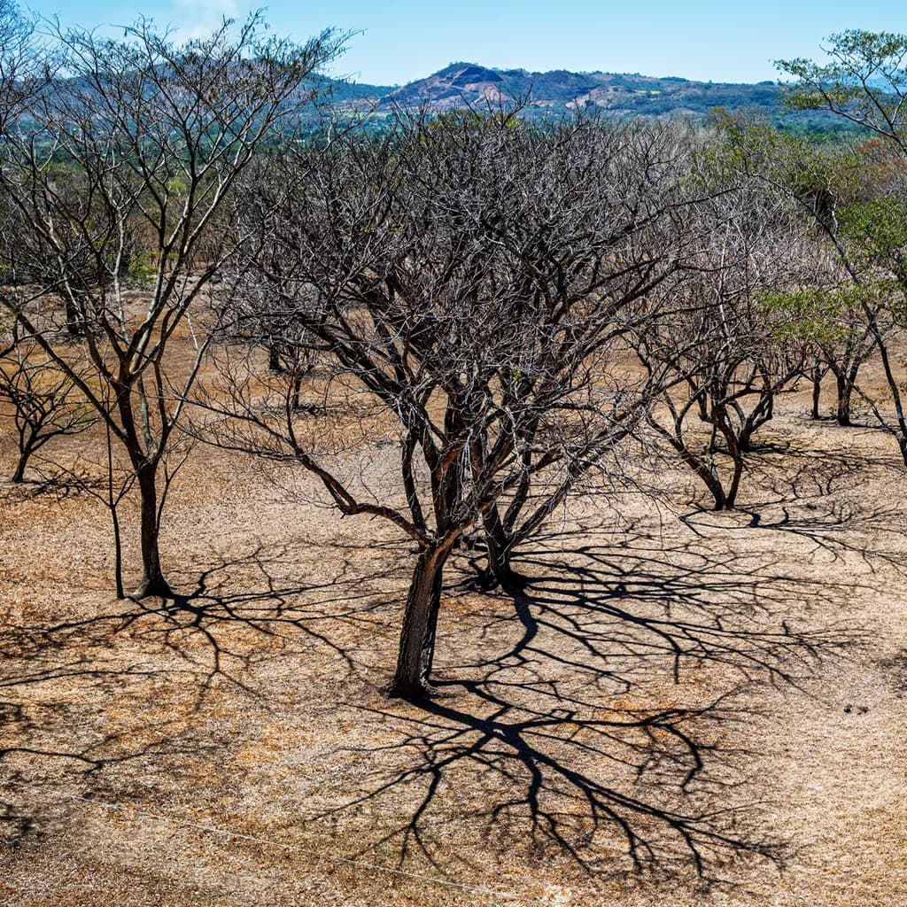 Drought...