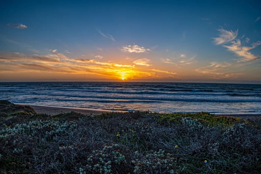 Pacific Sunset