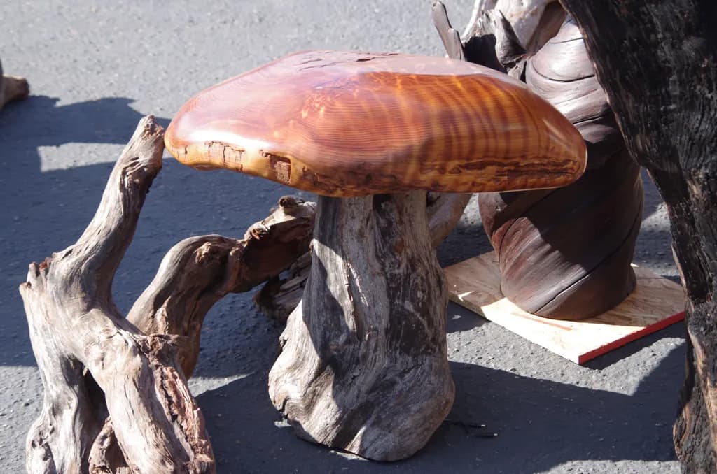 Petrified Toadstool