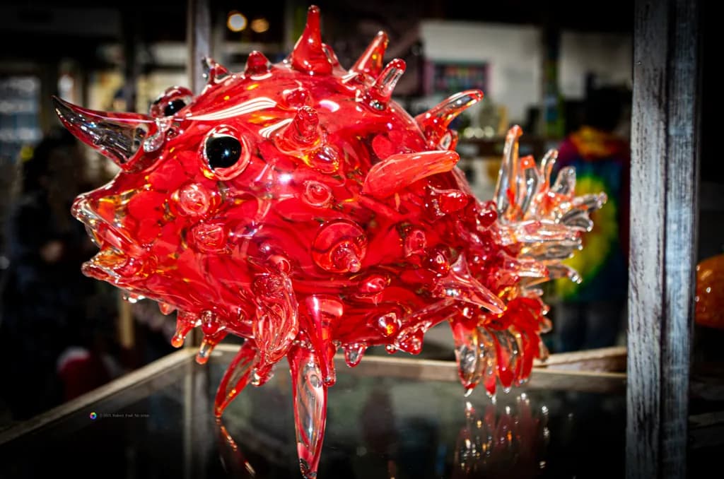 Blown Puffer-Fish
