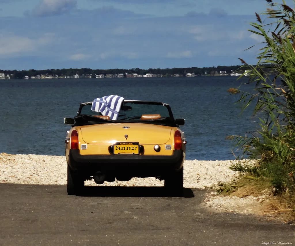 Summer Drive