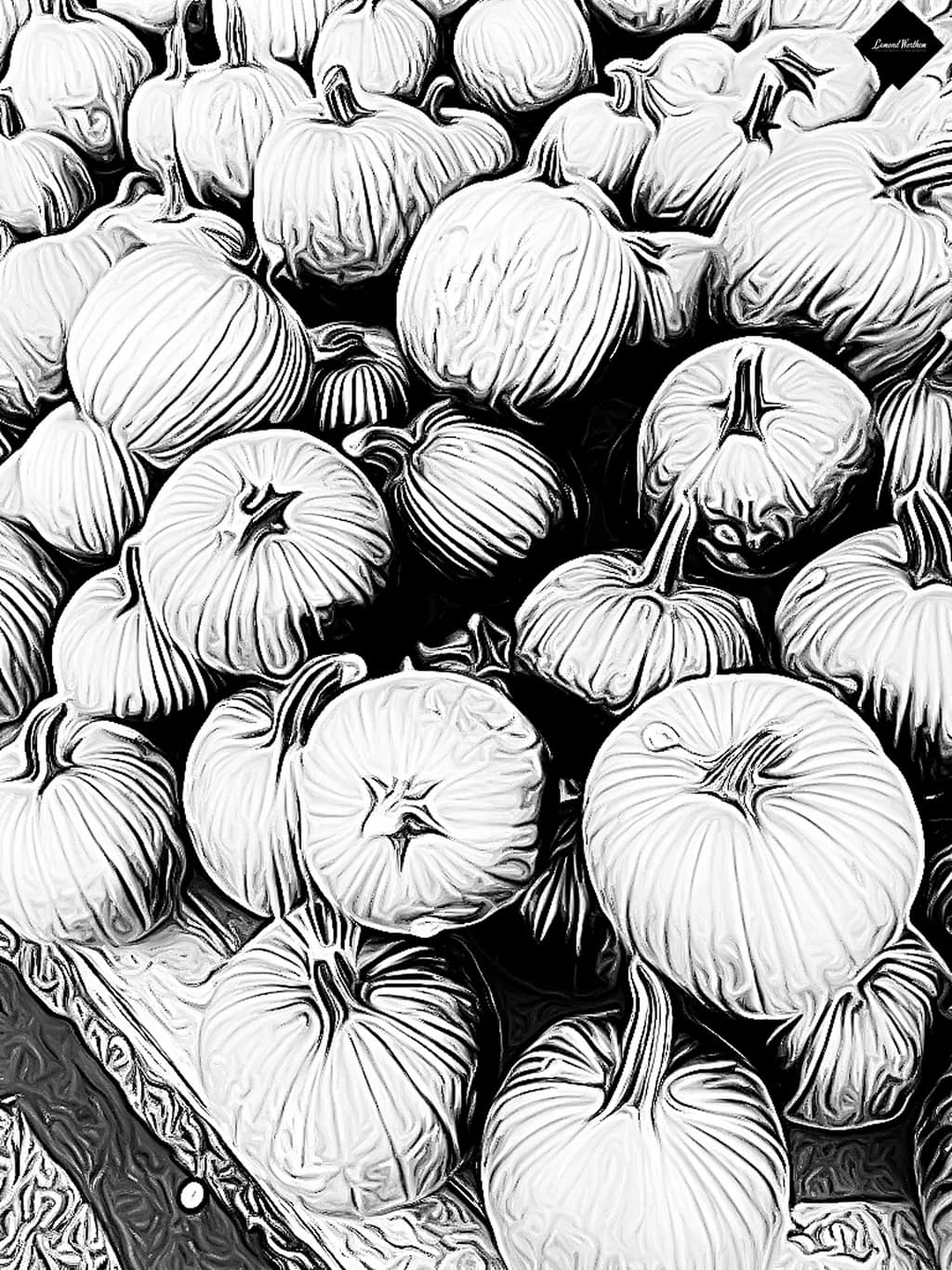 Whimsical Harvest: A Monochrome Dance of Pumpkins