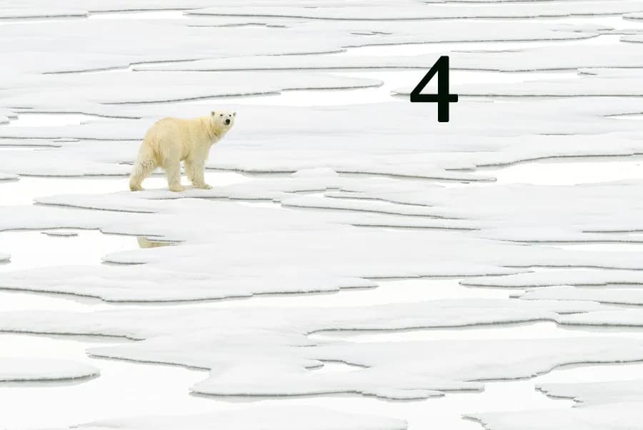 Arctic Solitude
