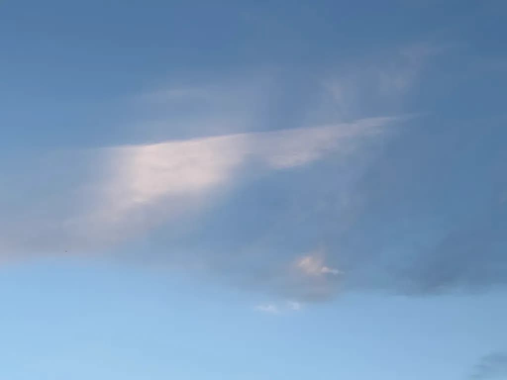 Soft Horizon