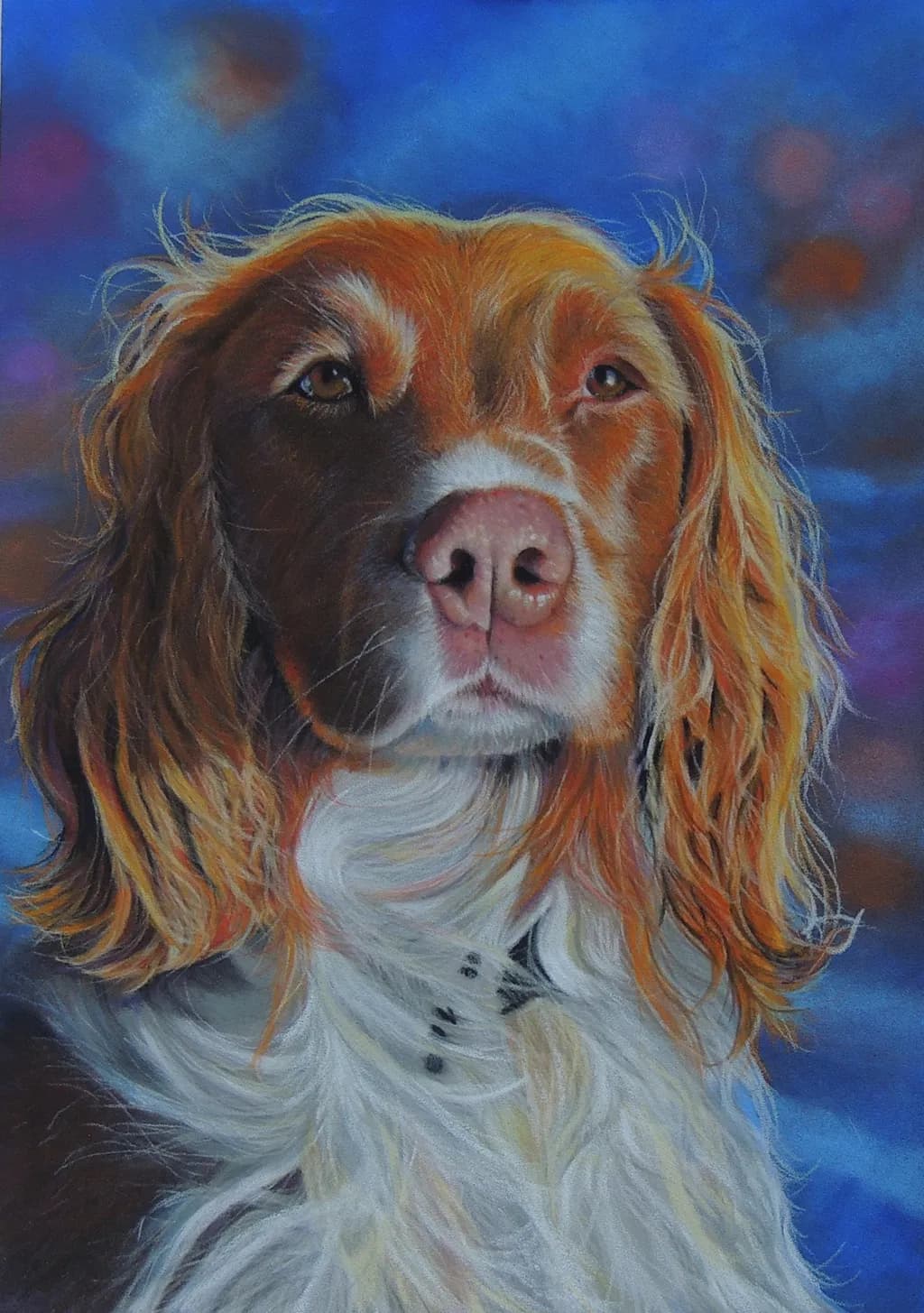 Paddy Portrait