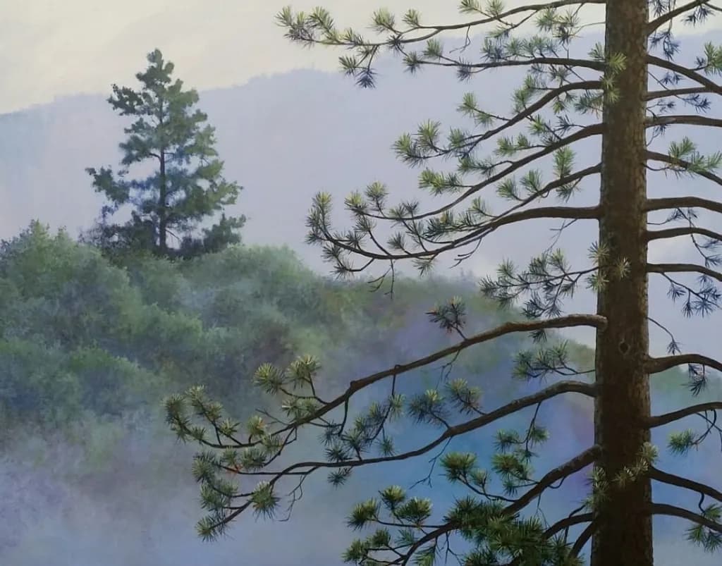 Misty Pines